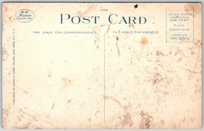 Saginaw Michigan 1920s Postcard Masonic Temple