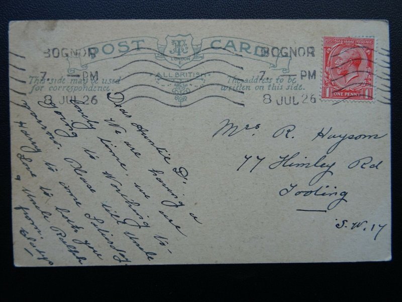 Cat & Dog Theme IVE GOT MY HANDS FULL PAINTING CAT WHITE c1920s Comic Postcard