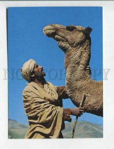 471007 Afghanistan Nomad and his Camel tourism advertising Old postcard