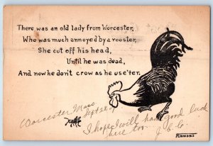 Signed Artist Postcard Rooster Chicken There Was An Old Lady From Worcester MA