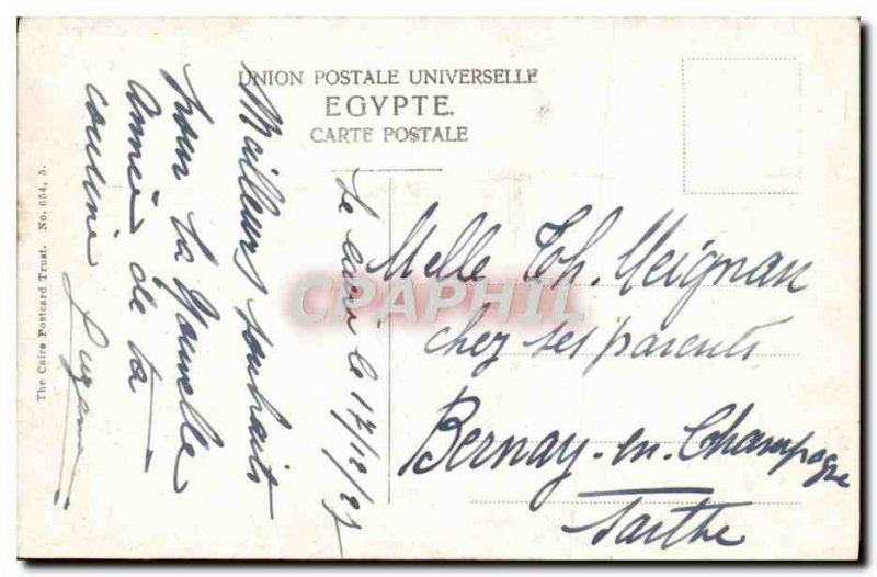 Postcard Ancient Egypt Egypt Camels