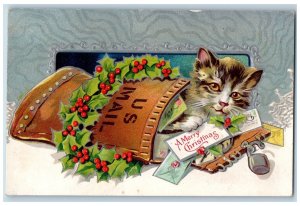 Christmas Postcard Cat Kitten Holly Berries Embossed Nash c1910's Antique Posted