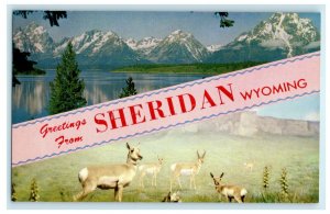 c1960's Greetings From Sheridan Wyoming WY Deer Unposted Vintage Postcard 