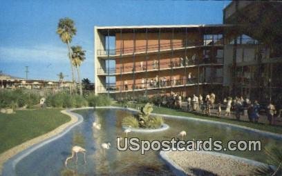 Flamingo & Penguin Pool - Marineland of the Pacific, CA