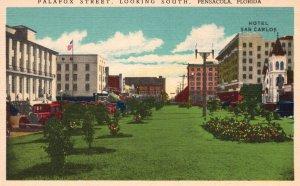 Vintage Postcard Palafox Street Green Field Looking South Pensacola Florida FL