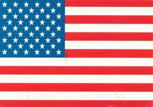 United States 50 Star Flag - Patriotic - pm 2001