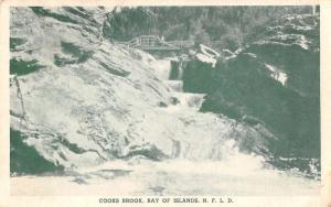 Bay of Island Newfoundland Canada Cooks Brook Scenic View Postcard J61547