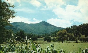 Postcard Mount Pisgah And The Rat Best Known Mountain Western North Carolina NC