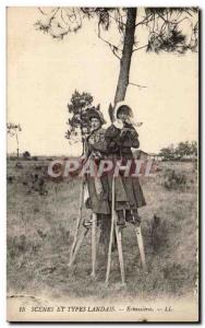 Old Postcard Scenes and Types Landes Echassieres TOP