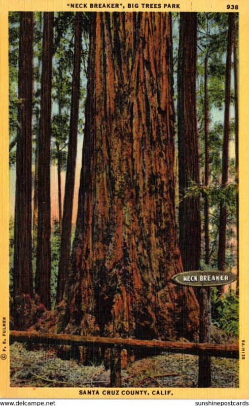 California Santa Cruz County Big Trees Park Neck Breaker