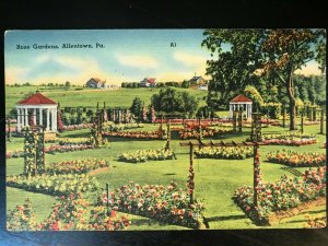 Vintage Postcard 1930-1945 Rose Gardens Allentown Pennsylvania