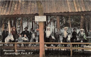 PC1/ Sacandaga Park New York Postcard c1910 Mountain Burros People 380