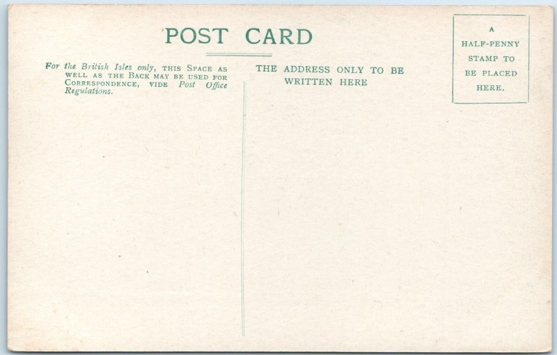 c1910s Shrewsbury England Postcard Free Library Darwin Statue Old School Gothic