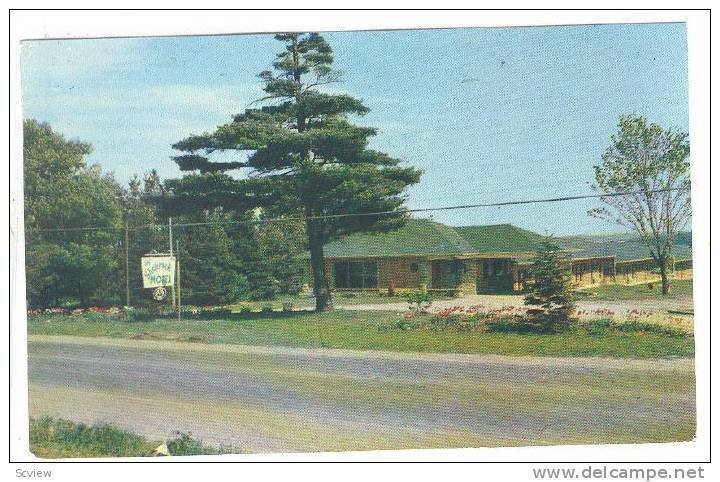 Shamrock Motel, Ontario, Canada, PU-1989