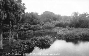 J72/ Avery Island Louisiana RPPC Postcard c1940s Jungle Gardens  99