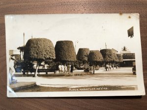 1910s Real Photo Mazatlan Mexico Plaza Shaped Trees La Casa Postcard