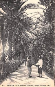 Une Allee e Palmiers, Jardin Landon Biskra Algeria Unused 