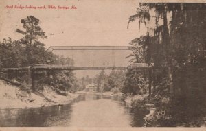 STEEL BRIDGE LOOKING NORTH WHITE SPRINGS FLORIDA POSTCARD 1908