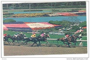 Thoroughbred Races Staged On Its Two Tracks, Hollywood Park, Inglewood, Calif...