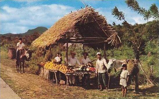 Panama Typical Native Fruit Stand