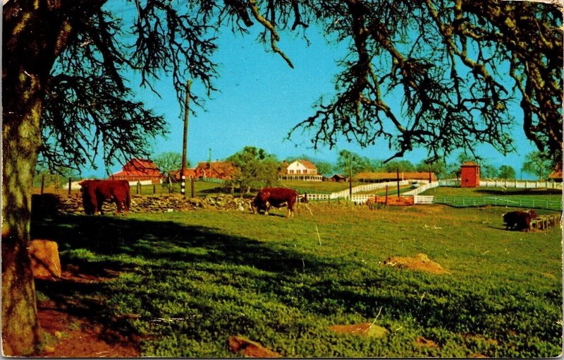 Roadside Farm Vermont VT Cows White Fence House Postcard Cancel WOB Note VTG 4c 