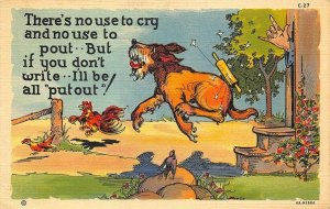 C-27 Ray Walters Comic No Use To Cry No Use To Pout Dog Curt Teich Postcard
