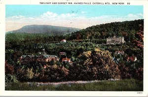 Postcard HOTEL SCENE Catskills New York NY AJ0358