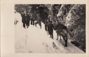 RPPC TRANSYLVANIA HORSE BACKPACKING WINTER CAMPING TRIPPERS EXCURSIONISTS 1937