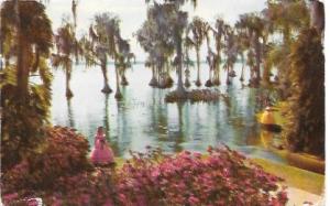 US Used postcard, Cypress Gardens, Florida.  Stamp #1035.