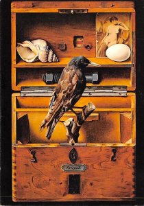 Vogelkasten by Diether Kressel Unused