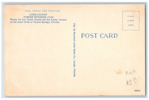 Tarpon Springs Florida Postcard Louis Pappa Famous Riverside Cafe c1940 Unposted