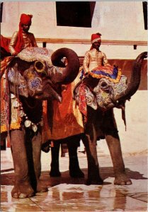 Jaipur India Elephant Taxis Amber City ot Fort and Palaces Postcard C7