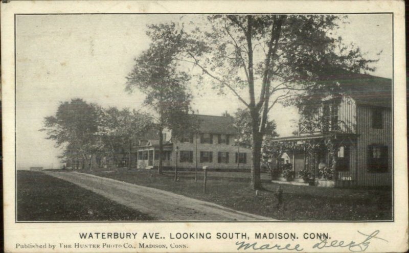 Madison CT Waterbury Ave South 1908 Used Postcard