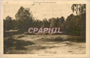 Postcard Old Forest of Fontainebleau Gorges Franchart