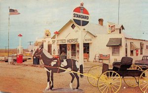 Spotted Horse Wyoming Spotted Horse Store and Service Station Postcard AA74654