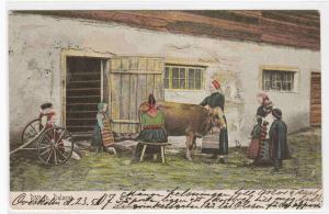 Milking Cow Farm Dalarne Rattvik Sweden 1907 postcard