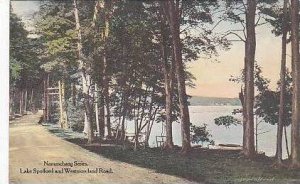 New Hampshire Lake Spofford and Westmoreland Road Namaschaug Albertype