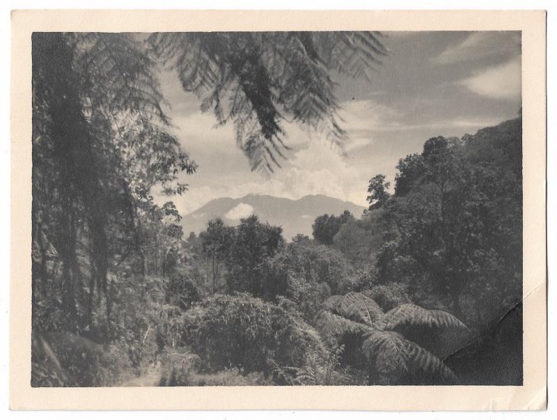 Indonesia View of the Surroundings Vintage Postcard 01.14