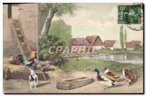 Old Postcard Rooster