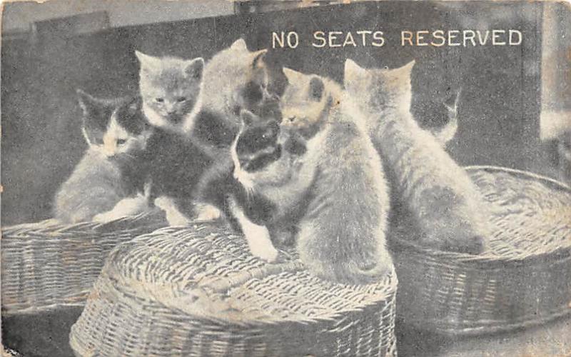 No Seats Reserved Cat 1907 