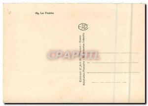 Modern Postcard The Prairie Cows