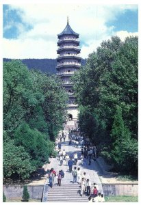 Aerial View Postcard Linggu Park Nanjing China
