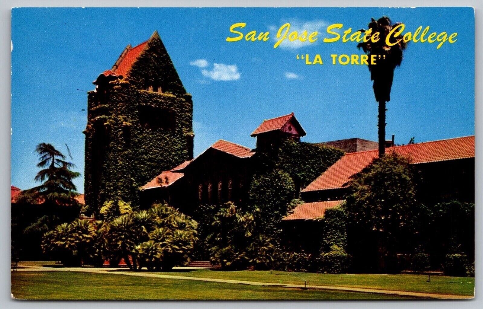 San Jose State College La Torre Vine Covered Inner Quadrangle Campus