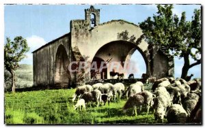 Postcard Modern Provence An Old Chapel Sheep