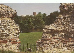 Hertfordshire Postcard - Cathedral & Abbey Church St Alban from Roman Wall AB623