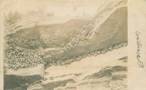 Bird Nests Ponca Nebraska Mud Swallow 1908 RPPC Photo Postcard 20-5801