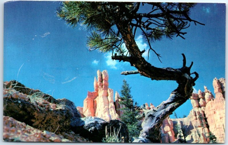 Postcard - Queen's Garden, Bryce Canyon National Park - Southern Utah