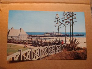 1960s Palisades Park, Santa Monica, CA California Chrome Postcard