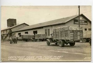 Weslaco TX Old Grapefruit Trucks RPPC Postcard