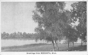 Mecosta Michigan~Lake Scene~Trees Along Shore~1920s B&W Postcard